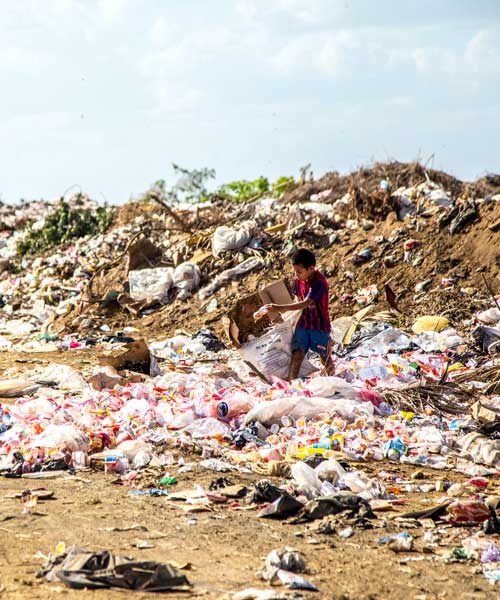 Adventure and Animal Interaction